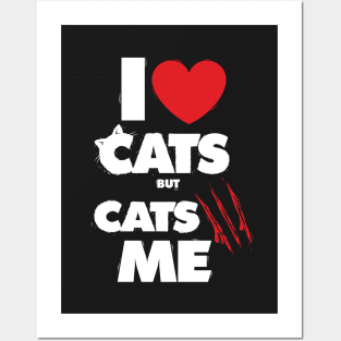 I love cats Posters and Art